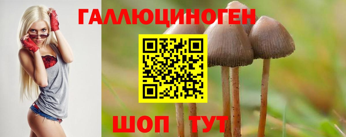 Псилоцибиновые грибы ЛСД Горячий Ключ